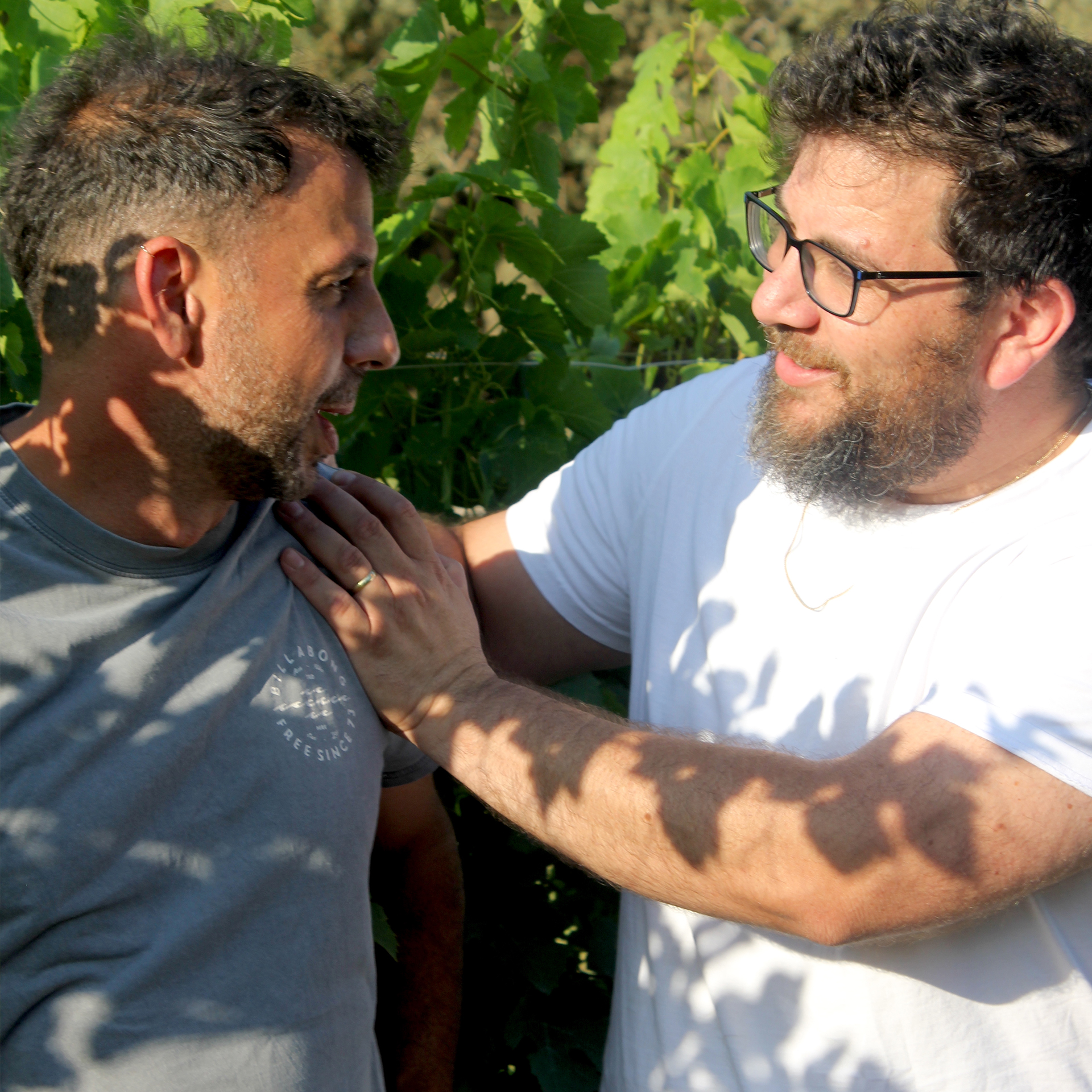 גדי בור ויוני דנון מבשלים במסיק קיבוץ מגל: ערב בלתי נשכח של שמן זית, יין ואוכל מצוין במסיק