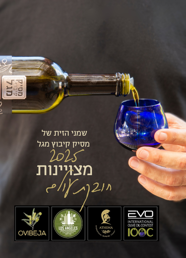 כשאיכות מדברת בכל שפה: שמני הזית הזוכים של מסיק קיבוץ מגל בתחרויות העולם 2025