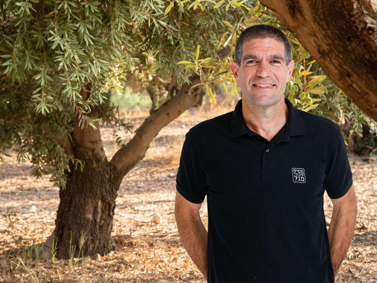 אורן הכסטר