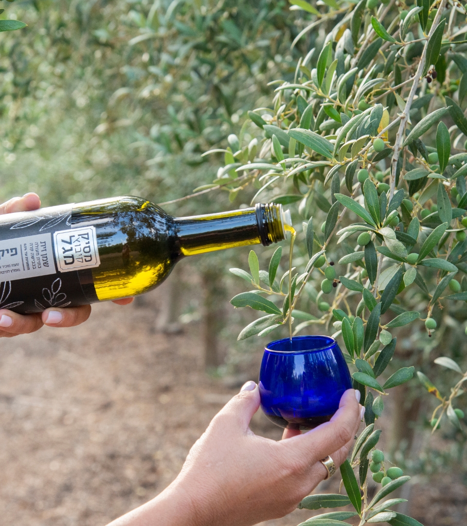 Our Olive Oil