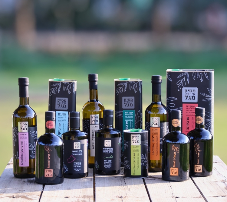Our Olive Oil Series